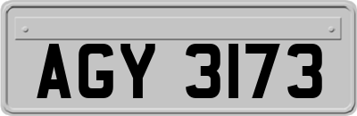 AGY3173