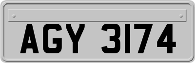 AGY3174