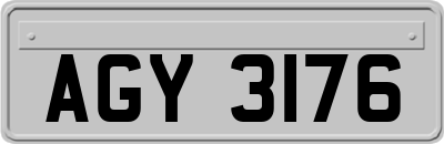 AGY3176