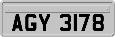 AGY3178