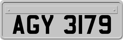 AGY3179