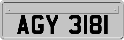 AGY3181