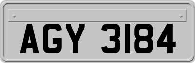 AGY3184