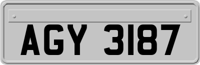 AGY3187