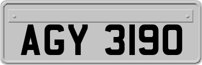 AGY3190