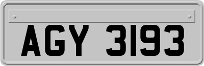 AGY3193
