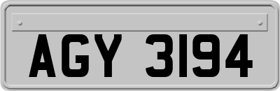 AGY3194