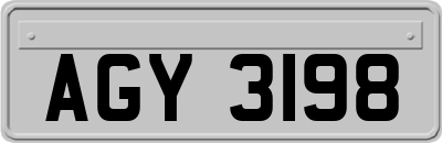AGY3198