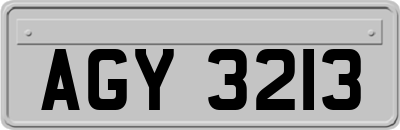 AGY3213