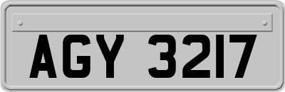 AGY3217