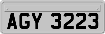 AGY3223