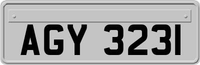 AGY3231