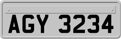 AGY3234