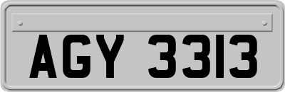 AGY3313