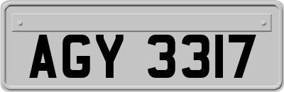 AGY3317