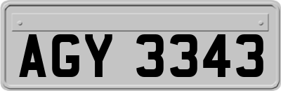 AGY3343