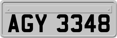 AGY3348