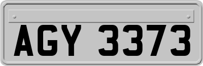 AGY3373