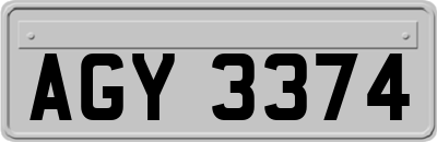 AGY3374