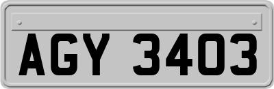 AGY3403