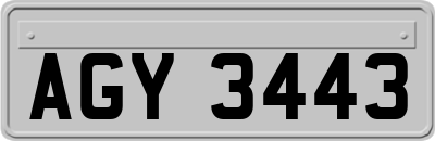 AGY3443