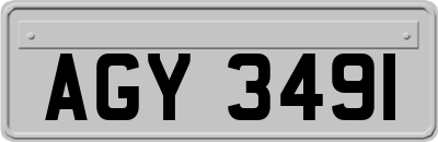 AGY3491