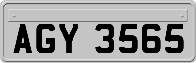 AGY3565