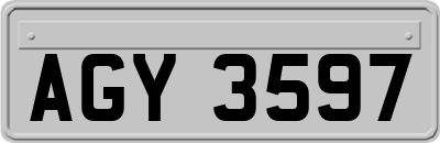 AGY3597