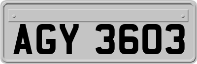 AGY3603