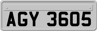 AGY3605