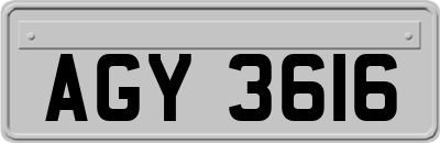 AGY3616