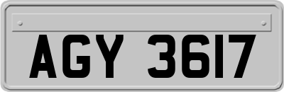 AGY3617