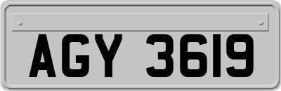 AGY3619