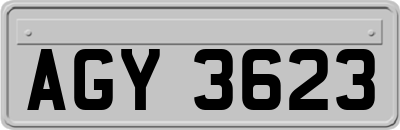 AGY3623