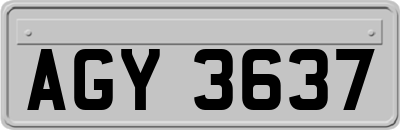 AGY3637