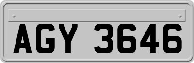 AGY3646
