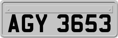 AGY3653