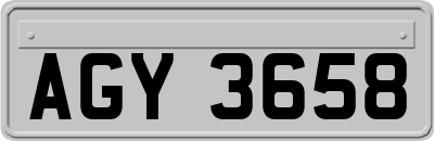 AGY3658