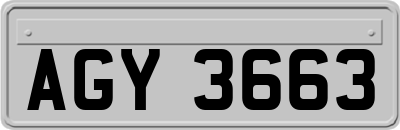 AGY3663