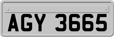 AGY3665