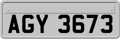 AGY3673