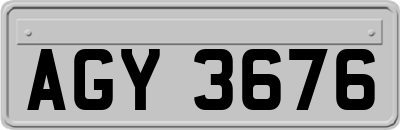 AGY3676