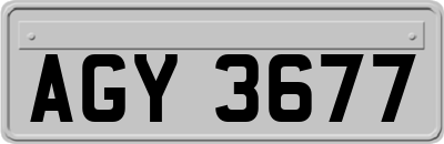 AGY3677