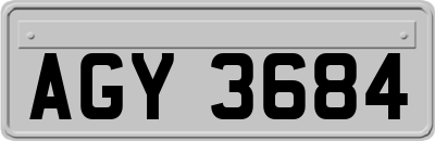 AGY3684