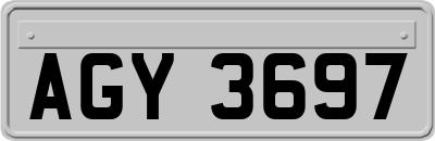 AGY3697