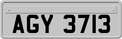 AGY3713