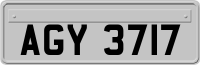 AGY3717