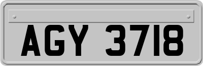AGY3718
