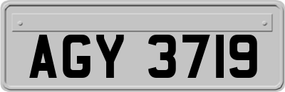 AGY3719