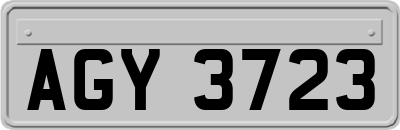 AGY3723